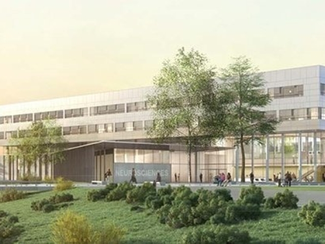 NEUROSCIENCES, Department of Neurology